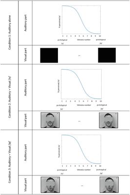 Visual Influence on Auditory Perception of Vowels by French-Speaking Children and Adults